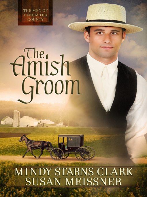 Title details for The Amish Groom by Mindy Starns Clark - Available